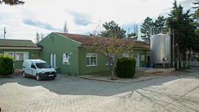 Amasya DSYB’den Yeni Başarı