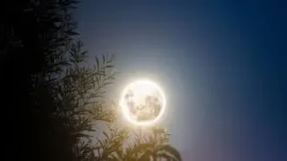 Rüyada Dolunay Görmek Ne Anlama Gelir? Işığın ve Huzurun Simgesi Olarak Yorumlanıyor