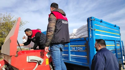 Suluova’da Buğday Ekimi