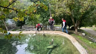 Amasya’da Alabalık Üretim Tesislerinde Denetimler Sürüyor