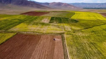 Taşova Kaymakamlığı Milli Emlak Şefliği'nden İlan