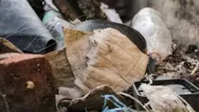 Rüyada Pislik Görmek Ne Anlama Gelir? İşte En Kapsamlı Yorumlar