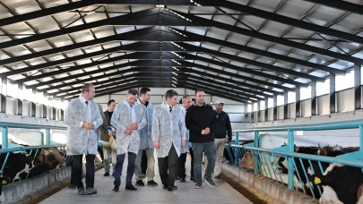 Amasya’nın Ekonomisine Güç Katacak Yatırım Hamlesi