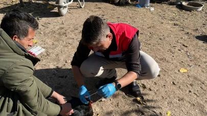 Merzifon’da Kanatlı Hayvan Sağlığı