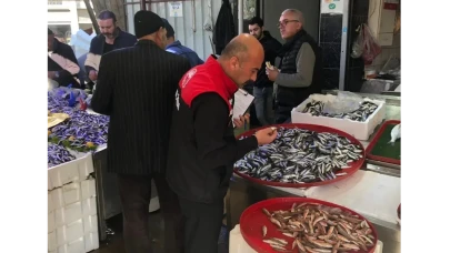 Merzifon’da Su Ürünlerine Sıkı Denetim