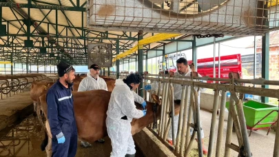 Merzifon’da Ari İşletme Kontrolü ve Numune Çalışması