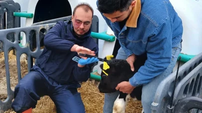 DSYB’den Önemli Küpeleme Duyurusu