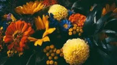 Rüyada Çiçek Görmek Ne Anlama Gelir? Rüyada Çiçek Görmenin Yorumu