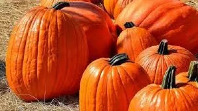 Rüyada Bal Kabağı Görmek Ne Anlama Gelir? İşte Detaylı Tabirler