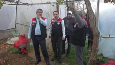 Amasya’da Üzüm Hasadı Erkene Çekildi