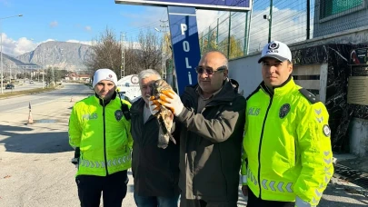 Amasya Emniyet Ekiplerinden Yaban Hayatına Duyarlı Müdahale