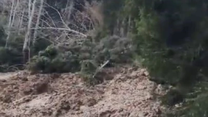 Artvin’de heyelan ormanı yerle bir etti, köy yolunu ulaşıma kapattı