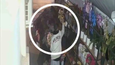 Çiçekçiden 5 bin liralık çiçek çalan hırsız güvenlik kamerasına yakalandı