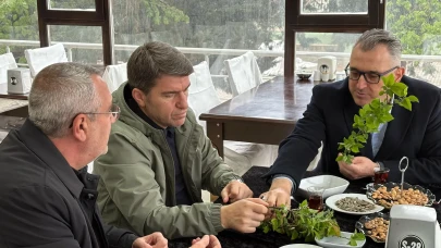 Zirai Don Amasya’yı Vurdu! Yetkililer Kriz Masasında Buluştu