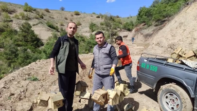 Taşova’da Ormanların Koruyucu Kuşları İçin Yüzlerce Yuva Asıldı