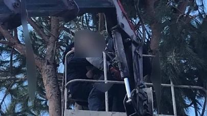 Ağaç budarken elektrik akımına kapılan bir kişi hayatını kaybetti
