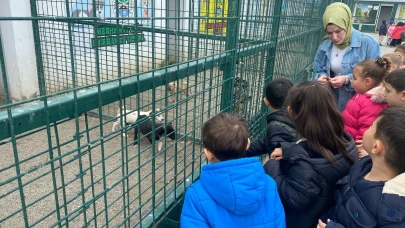 Minik Öğrencilerden Can Dostlara Sevgi Dolu Ziyaret