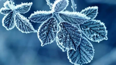 Meteoroloji’den Zirai Don Uyarısı