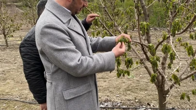 İl Başkanı Uzun’dan Zirai Don İncelemesi: “Son 30 Yılın En Sert Soğukları Yaşandı”