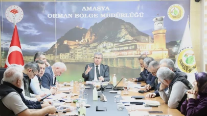Amasya’da Ormancılık Faaliyetleri Masaya Yatırıldı