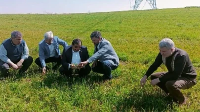 AK Partili Heyet, Zirai Dondan Etkilenen Köyleri Ziyaret Etti