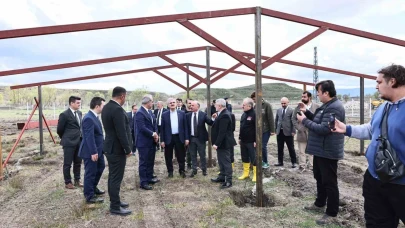 Atıklardan sokak hayvanları için mama üretilecek