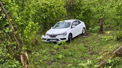 Otomobil fındık bahçesine uçtu