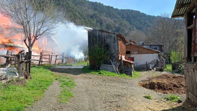 Sobadan çıkan yangın evi küle çevirdi
