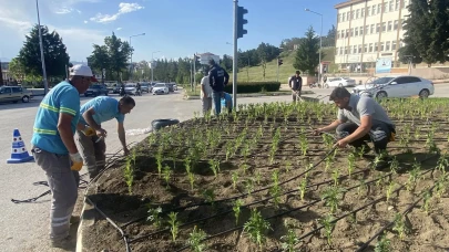 Suluova Belediyesi’nden Lise Kavşağı’na Renkli Dokunuş