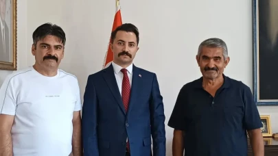 Göynücek’te Safran Üretimi Gelişiyor