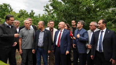 Amasya'da Zirai Donun Etkileri İncelendi, Çiftçilere Destek Sözü Verildi