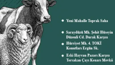 Suluova Belediyesi’nden Kurban Atıkları İçin Uyarı: Belirlenen Noktalara Dikkat!