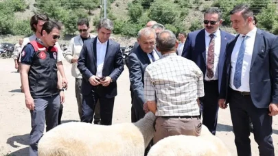 Amasya Protokolünden Hayvan Pazarı Ziyareti