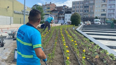 Suluova Belediyesi’nden Şehre Renk Katan Dokunuşlar