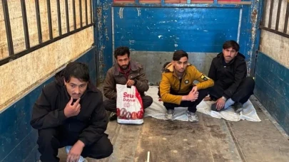 Amasya'da Göçmen Kaçakçılığına Geçit Yok: 4 Düzensiz Göçmen Yakalandı