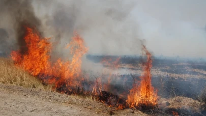 Faciaya Ramak Kala Engellendi!