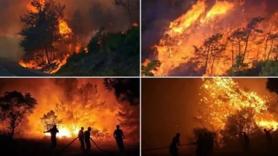 Başkan Özalp’tan Yangın Uyarısı: Yanan Sadece Orman Değil!