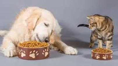 Mama Satın Alınacaktır