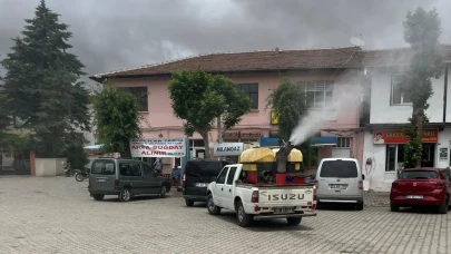 Merzifon’un Köylerinde Haşereyle Mücadele Sürüyor