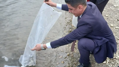 Taşova’da Ekosisteme Can Veren Proje! 25 Bin Sazan Bırakıldı
