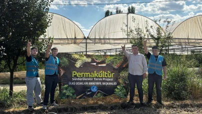 Ülkü Ocakları Amasya İl Başkanlığı’ndan Permakültür Sürdürülebilir Tarım Çalışması
