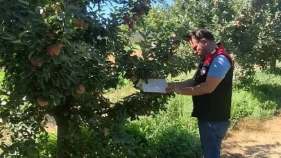 Amasya’da Meyve Bahçelerinde Zararlı Kontrolleri Devam Ediyor