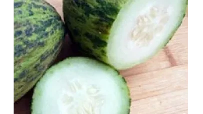 Rüyada Kelek Görmek Ne Anlama Gelir? İşte Rüyanızın Gizemli Mesajları