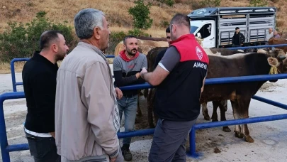 Amasya’da Hayvan Pazarı Denetimleri Aralıksız Sürüyor