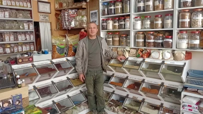 Bağışıklığı Güçlendiren Besinlerle Sağlıklı Bir Sonbahar