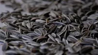 Rüyada Çekirdek Görmek Ne Anlama Gelir? İşte Detaylı Yorumlar