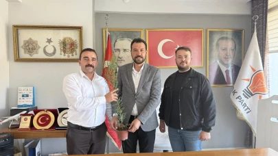 Merzifon’da Dayanışmanın Yeşil Sembolü