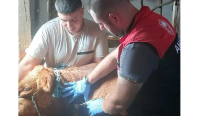 Amasya’da Tüberkülozla Mücadele Çalışmaları Titizlikle Sürdürülüyor