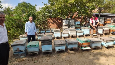 Merzifon’da Arıcılık Faaliyetlerine Destek ve Denetim