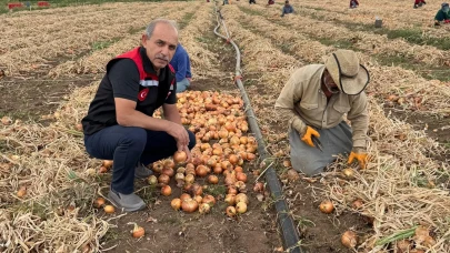 Gümüşhacıköy’de Mevsimlik İşçilerin Sorunları Yerinde Dinlendi